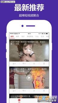 大宝小宝爆料视频播放下载,独家播放下载攻略揭秘