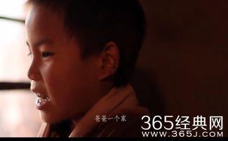 变形计青春作伴完整版在线观看