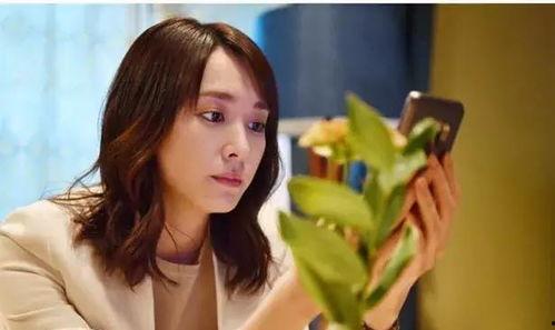 柳姐前夫爆料视频,揭秘惊人内幕