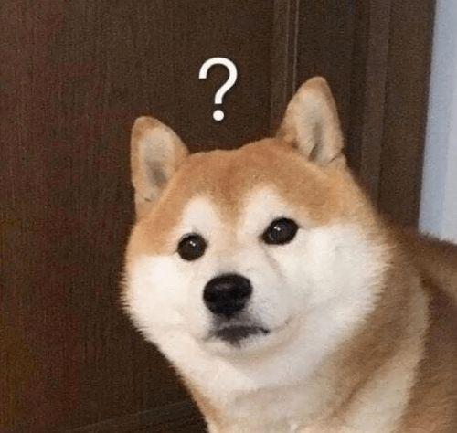 八哥爆料赤犬视频大全集