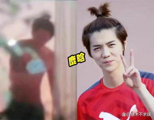 台湾狗仔爆料鹿晗视频,鹿晗私密视频曝光，真相背后引热议