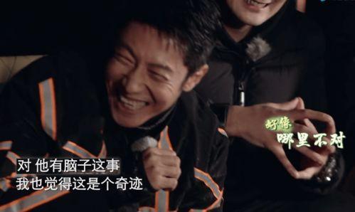 明星看似预言实则爆料视频,看似预言实则爆料，背后真相令人震惊