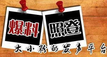 建始新闻爆料,揭秘当地热点事件背后的真相