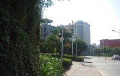 深圳龙山庄最新爆料,揭秘神秘豪宅背后的故事