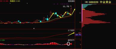 黄金最新局势爆料