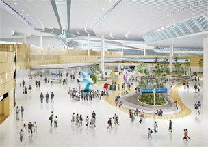 青岛飞机场爆料视频曝光,惊现惊人一幕！