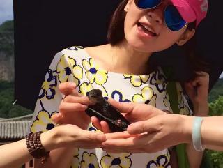 囡囡高清在线观看,揭秘青春校园的甜蜜与成长