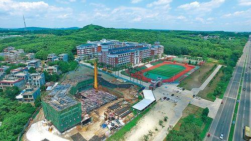 儋州爆料新闻最新情况今天,突发事件引发关注，真相即将揭晓！