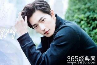 杨洋爆料视频大全完整版,揭秘明星幕后故事与真实一面