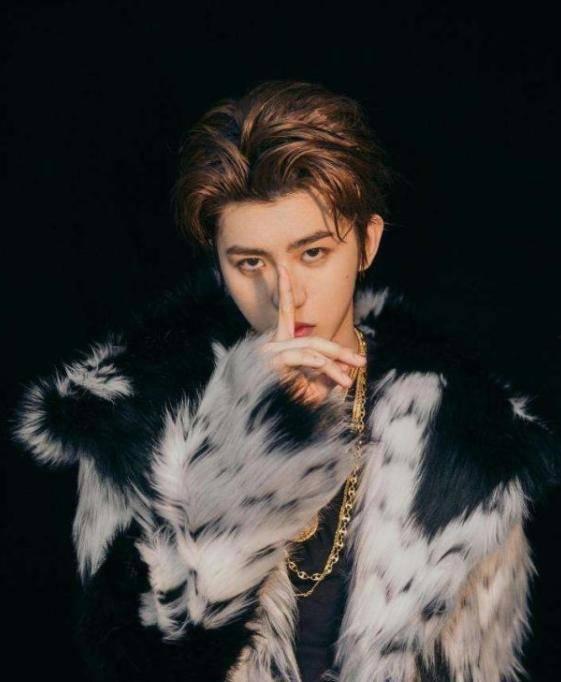 北京爆料蔡徐坤事件视频