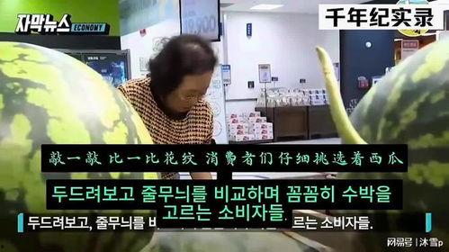 日本爆料韩国偷西瓜视频,偷瓜视频揭露两国农业争议